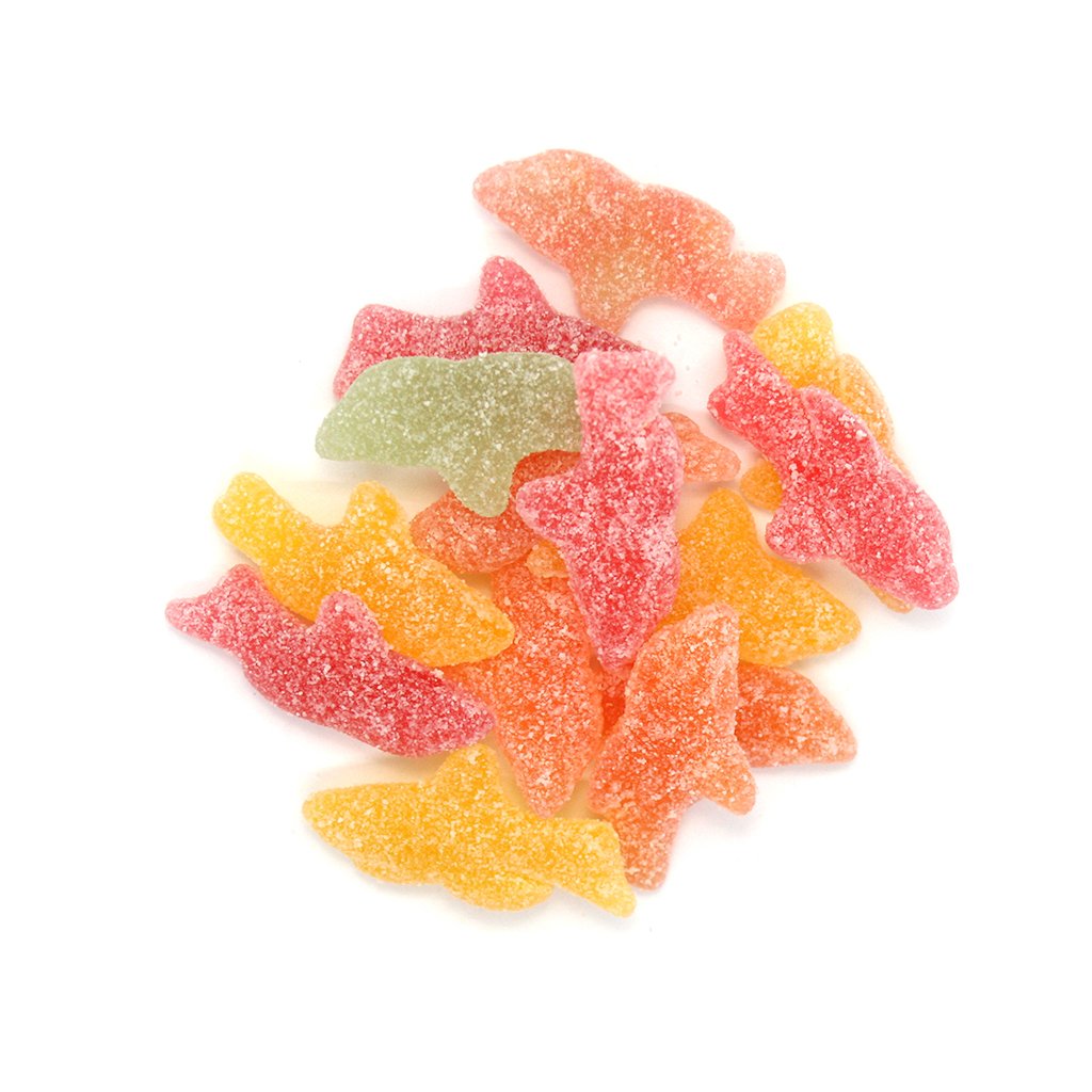 Jac Shark Sea Animal Jellies